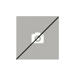 SAUNIER DUVAL Bec Deverseur 19 Cm